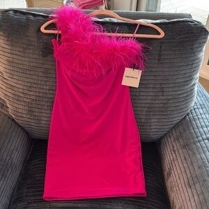 Vibrant Pink Feather Trim Dress